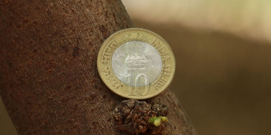 Top 5 Investment Apps in India 2025 (Beginners’ Guide)